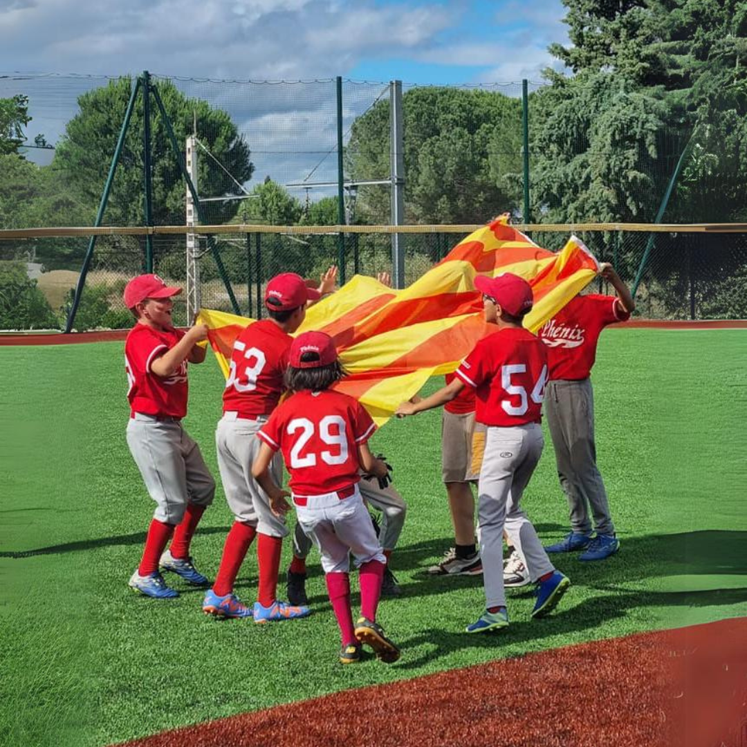 categorie division u12 baseball perpignan