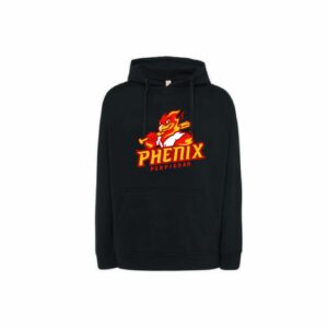 Sweat unisexe Icône